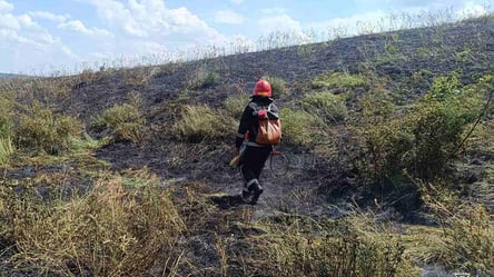 На Миколаївщині оголосили 5 рівень пожежної небезпеки - 285x160