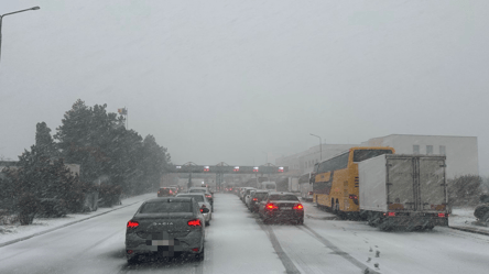 Виїзд за кордон — де застрягли автівки на трасі Одеса-Рені - 285x160