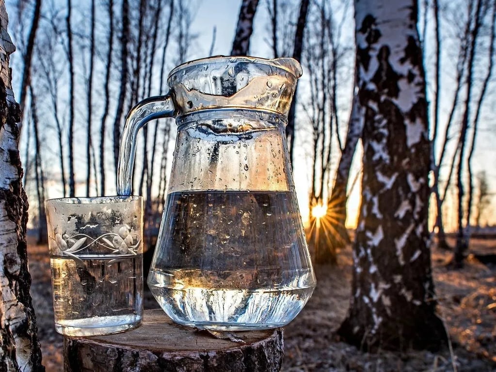 Як правильно вживати березовий сік