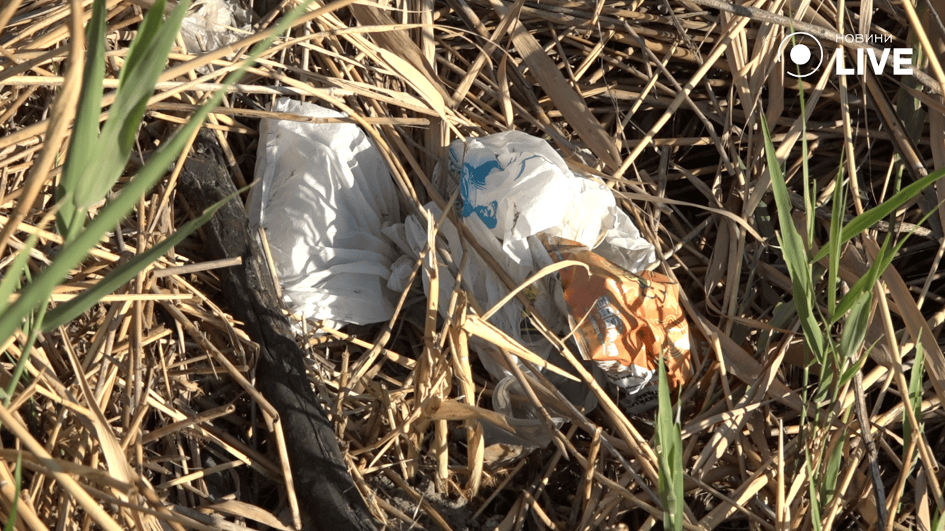 Сміття залишене поряд з парком Куяльницький