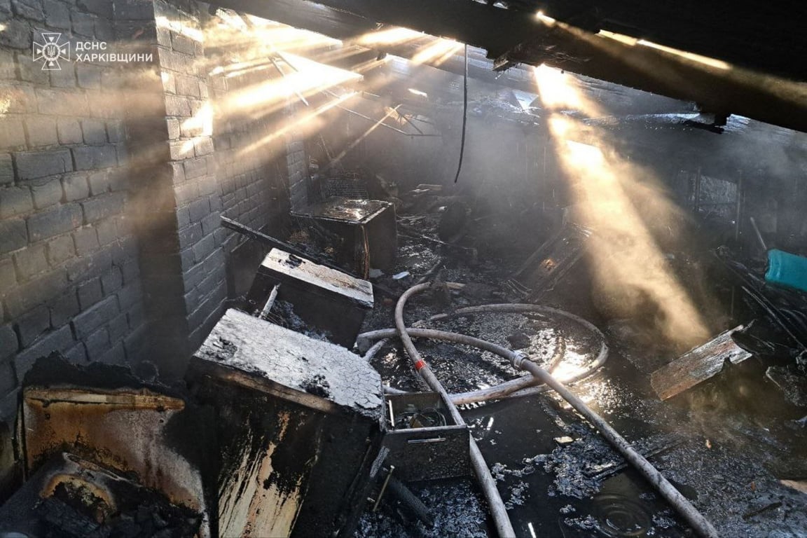 У Харкові під час пожежі загинули 20 домашніх котів - фото 4