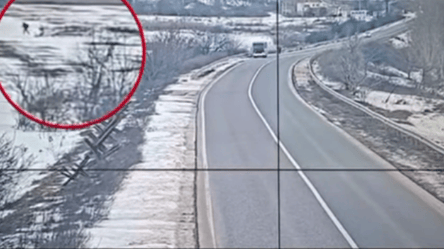 На Одещині зняли на відео незаконний перетин кордону українцем - 290x166