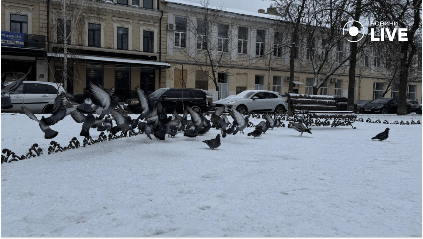 В Одесі засніжило: фото міста