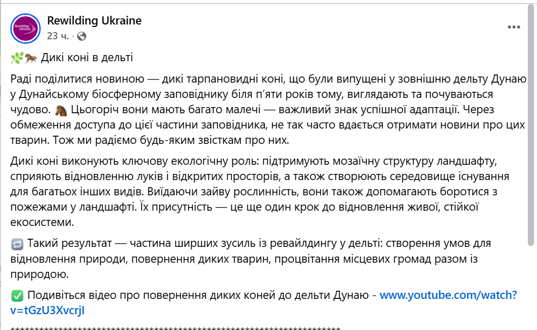 У заповіднику на Одещині дикі коні привели потомство - фото 1