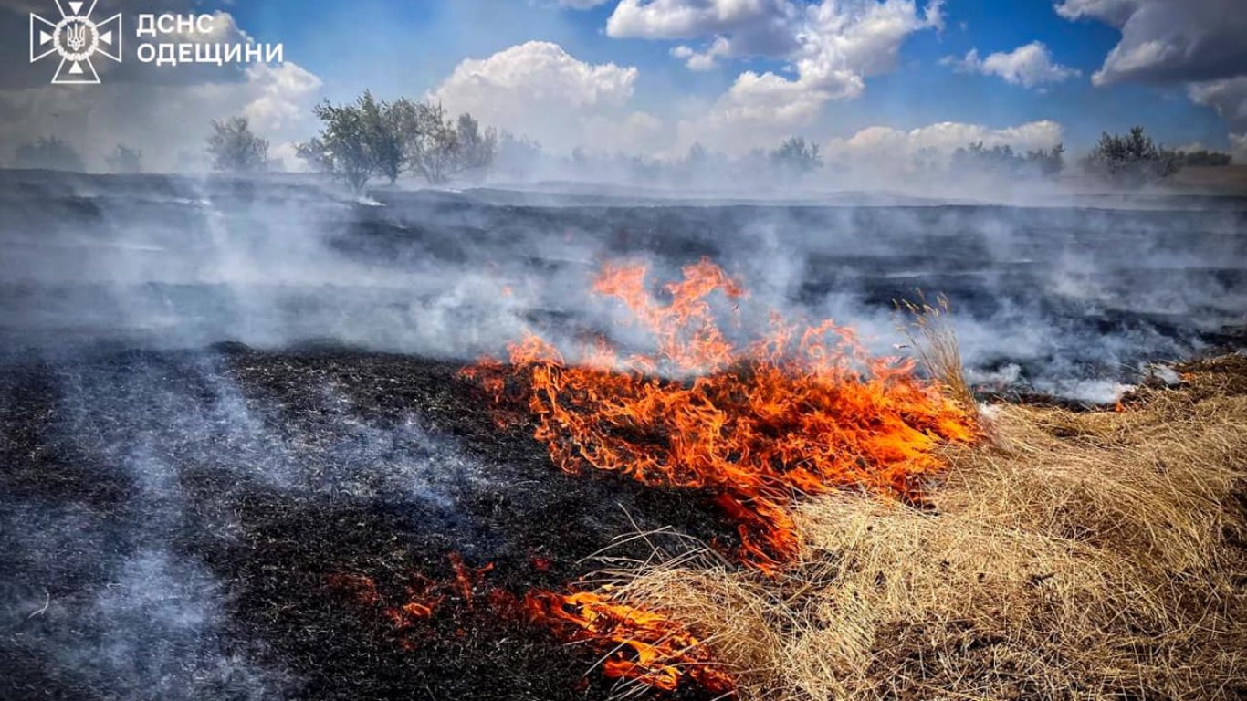 Масштабні пожежі на Одещині: екологи підрахували збитки