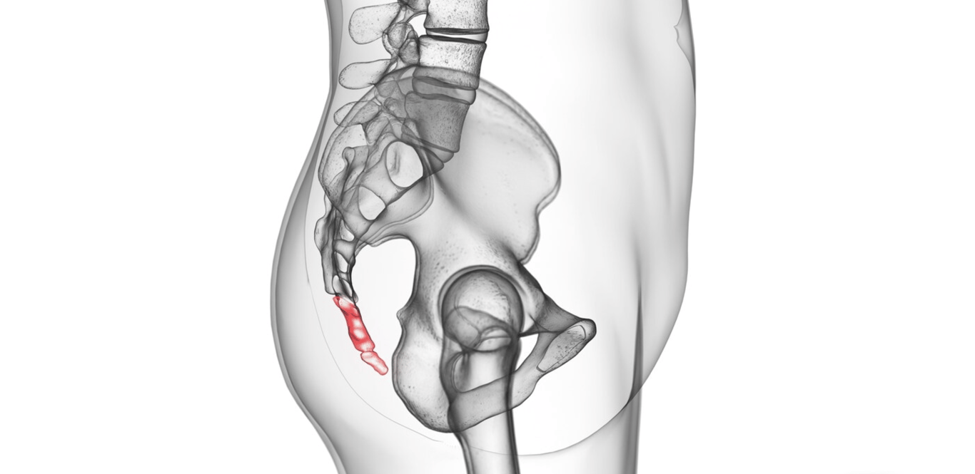 Ученые выяснили, когда и как люди потеряли хвосты
