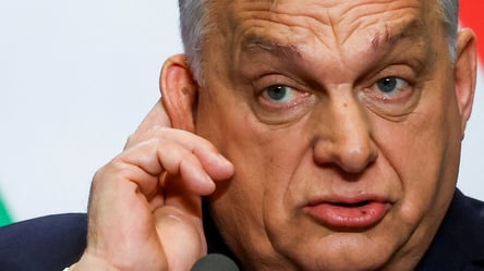 Поставив на Мадяра: як компанія зятя Орбана заробила на виборах - 285x160