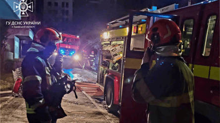 Масштабна пожежа у багатоповерхівці: у Львові врятували понад 50 людей та кота - 285x160