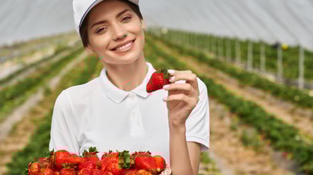 Деньги от Mercy Corps для украинок — как получить 125 тыс. грн - 285x160