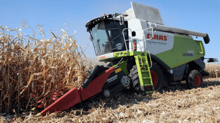 Вперше з 2024 року — що сталося з цінами на кукурудзу - 285x160