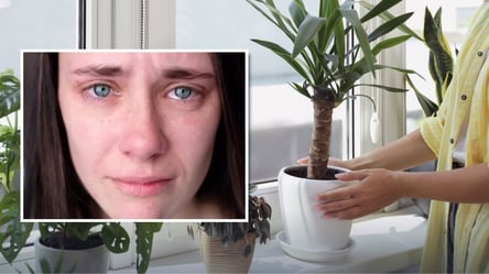 Жінкам не можна тримати ці квіти вдома — несуть горе і самотність - 285x160