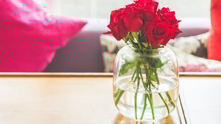 Троянди стоять тижнями — один секрет, який змінює все - 285x160