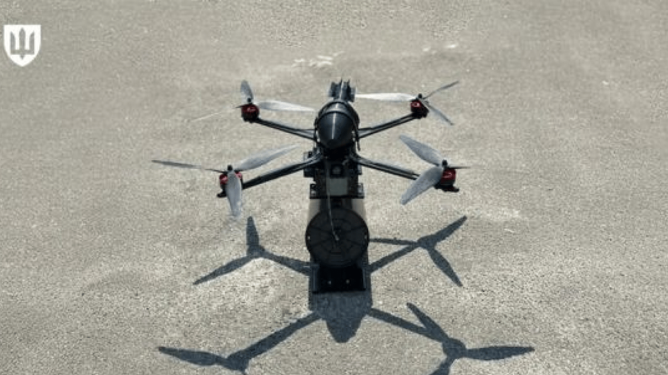 Повітряний камікадзе