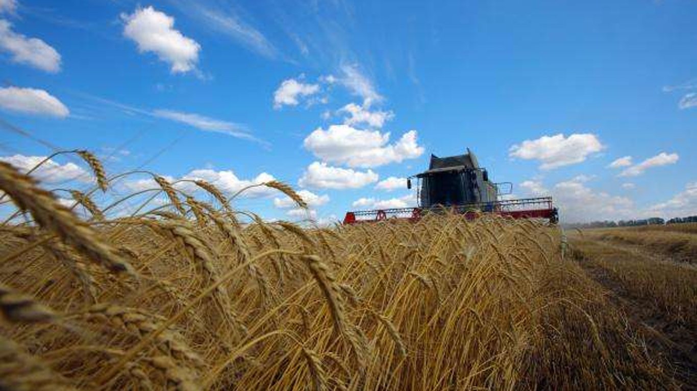 Жнива-2023 на Одещині: аграрії готові зібрати понад 1 млн га врожаю