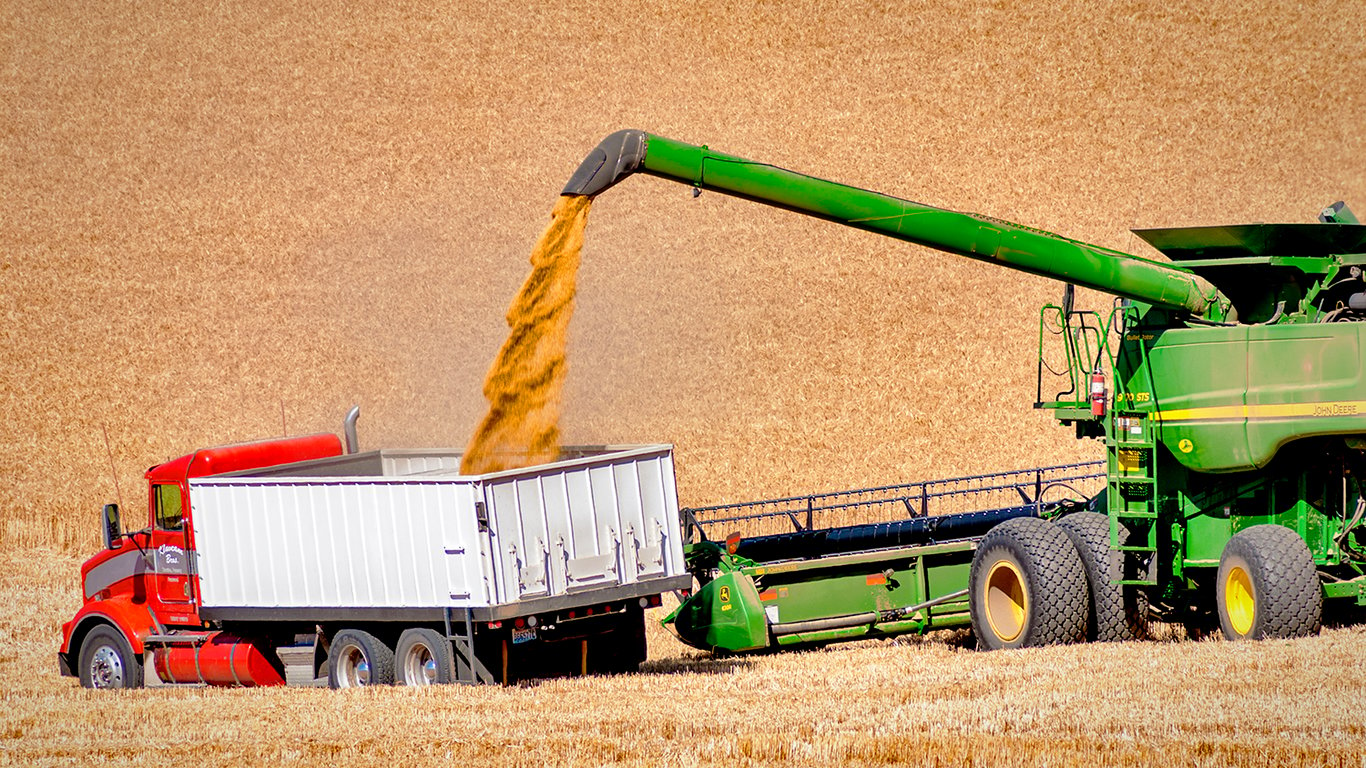 Цены на зерновые в Украине по состоянию на 18 августа 2023 года