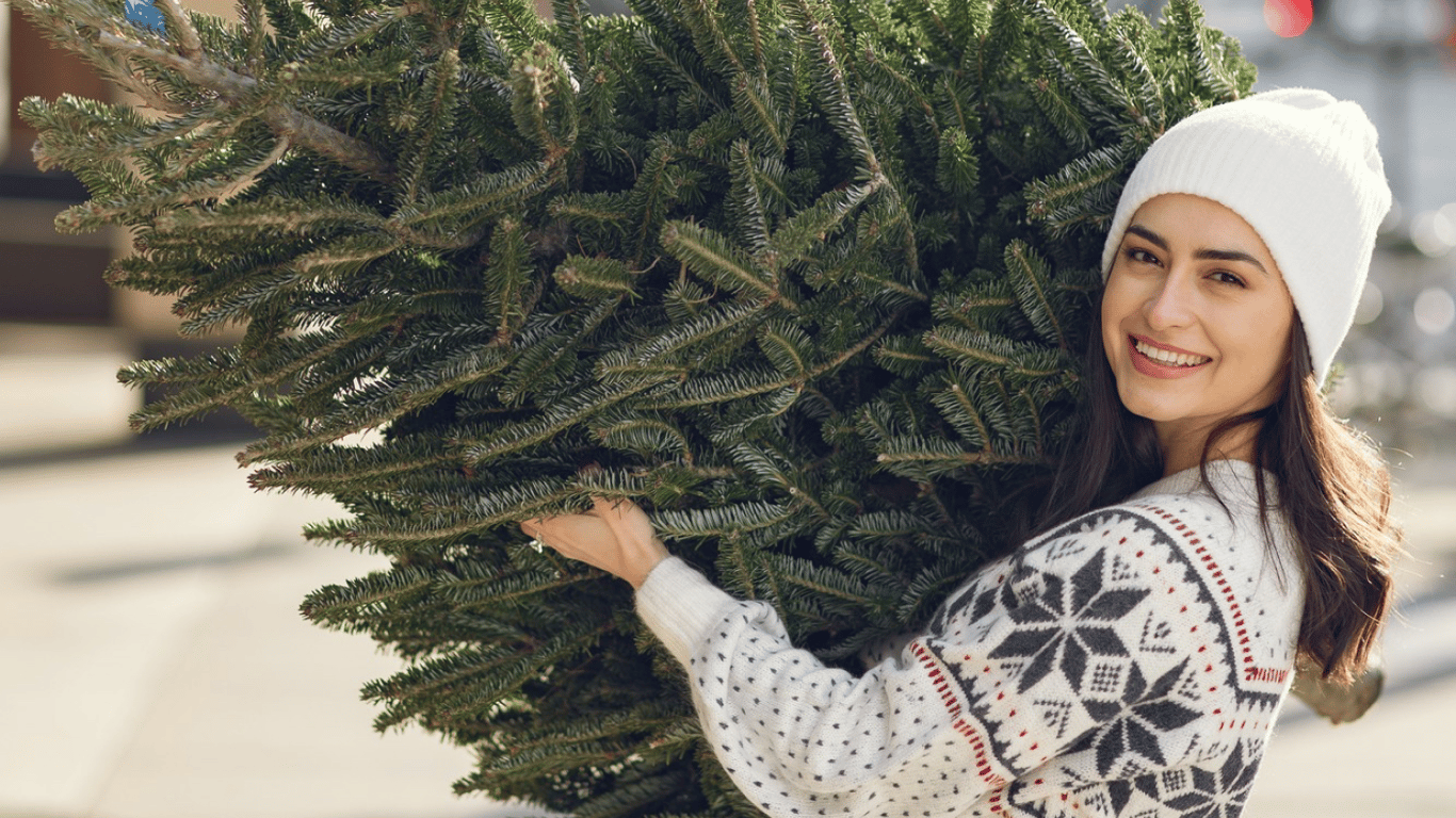 Когда лучше всего ставить елку на новогодние праздники 2025-2026
