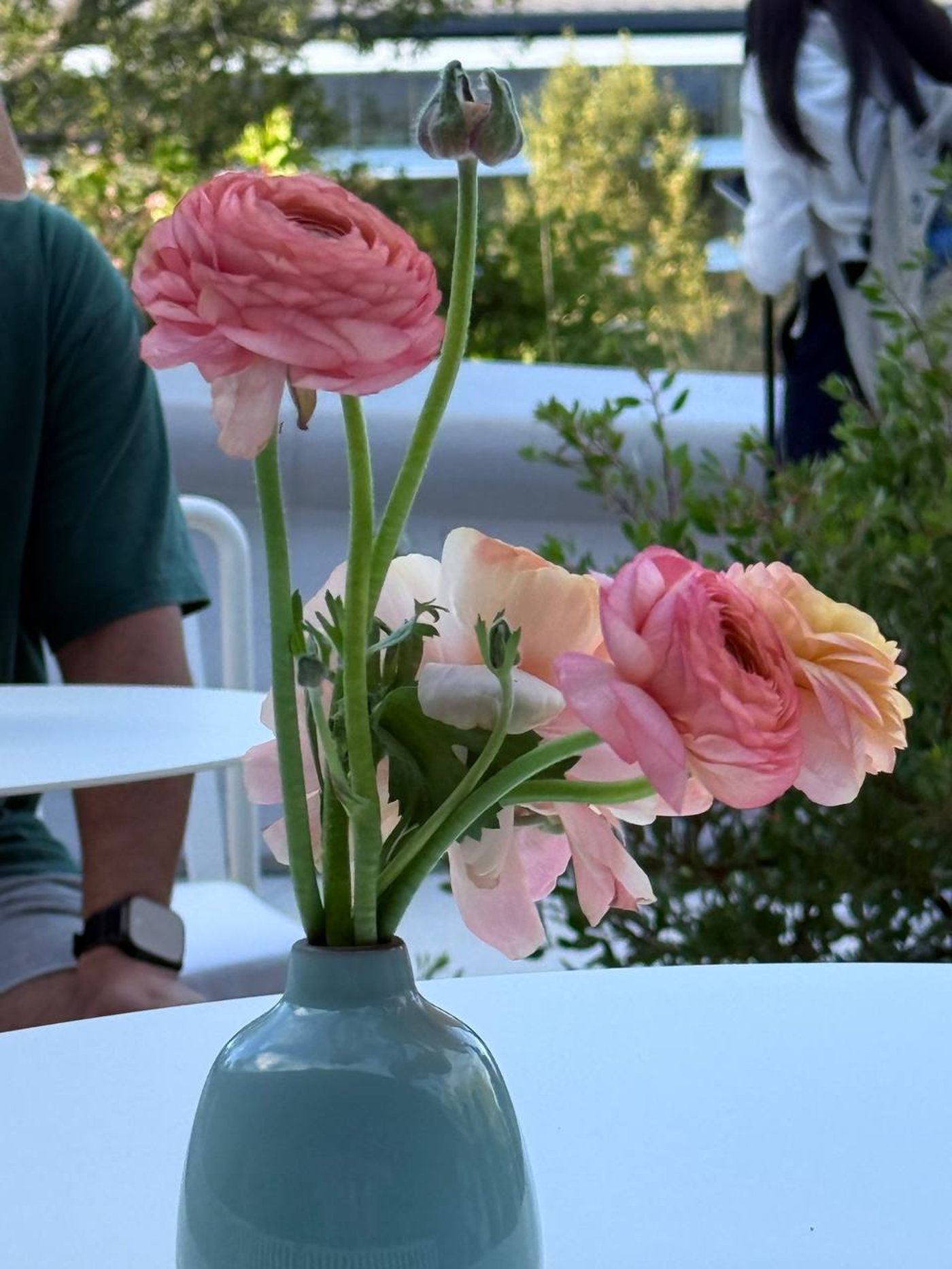 Фото з телеоб'єктиву iPhone 16 Pro