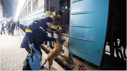 Укрзалізниця розглядає запуск поїзда до курортної країни - 285x160