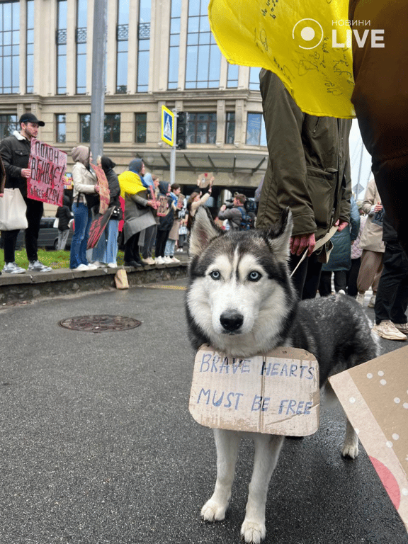 Не мовчи, полон вбиває — кияни вийшли на акцію підтримки військовополонених - фото 7