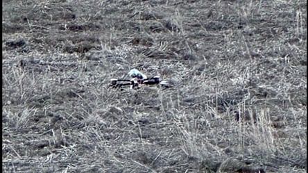 Одесские пограничники без детонации "посадили" вражеский FPV-дрон - 285x160