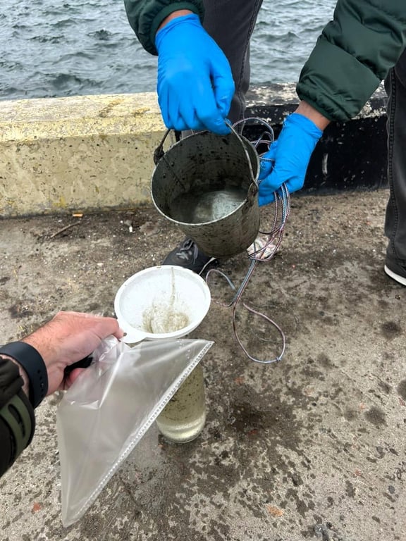 Забруднення Сухого лиману