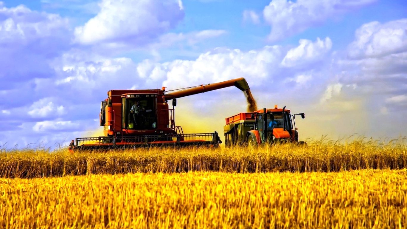 Цены на зерновые в Украине по состоянию на 1 декабря 2023 года