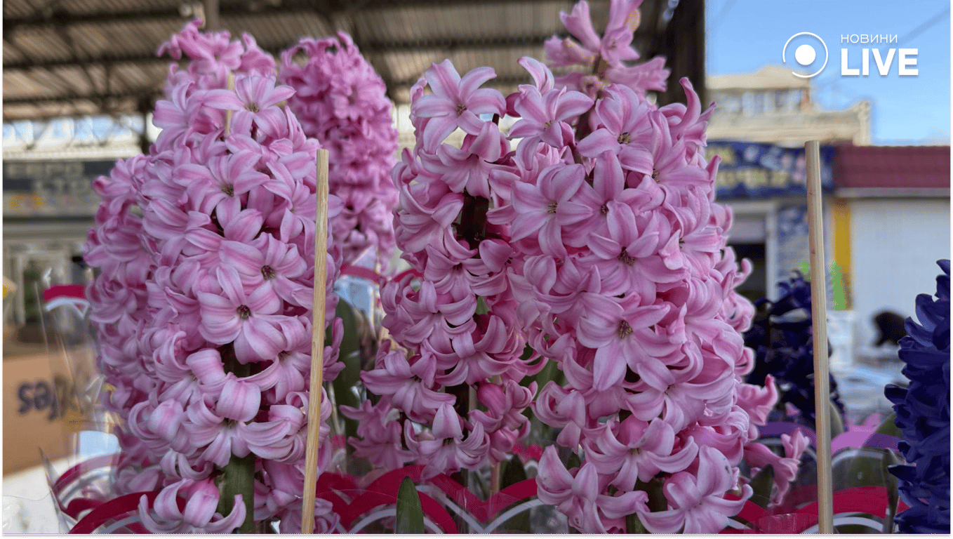 Скільки коштують квіти в Одесі — ціни у студіях та на базарі - фото 8