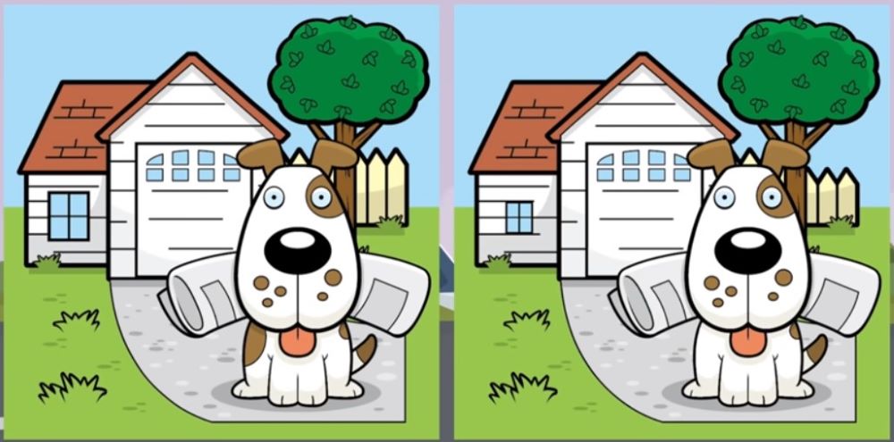 Милий домашній улюбленець приніс господарю газету — знайдіть три відмінності - фото 1