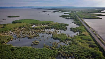 Придунайські озера на Одещині наповнюють водою - 285x160
