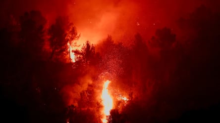 Лісові пожежі у Франції: влада затримала 420 людей, серед них 166 неповнолітніх - 290x166