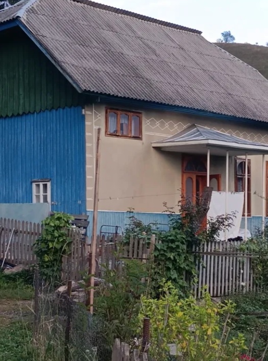 Как выглядит дом в Карпатах, который продают за 15 000 долларов (фото) - фото 16
