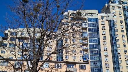 єОселю перезапустять і відкриють нові можливості для доступного житла - 285x160