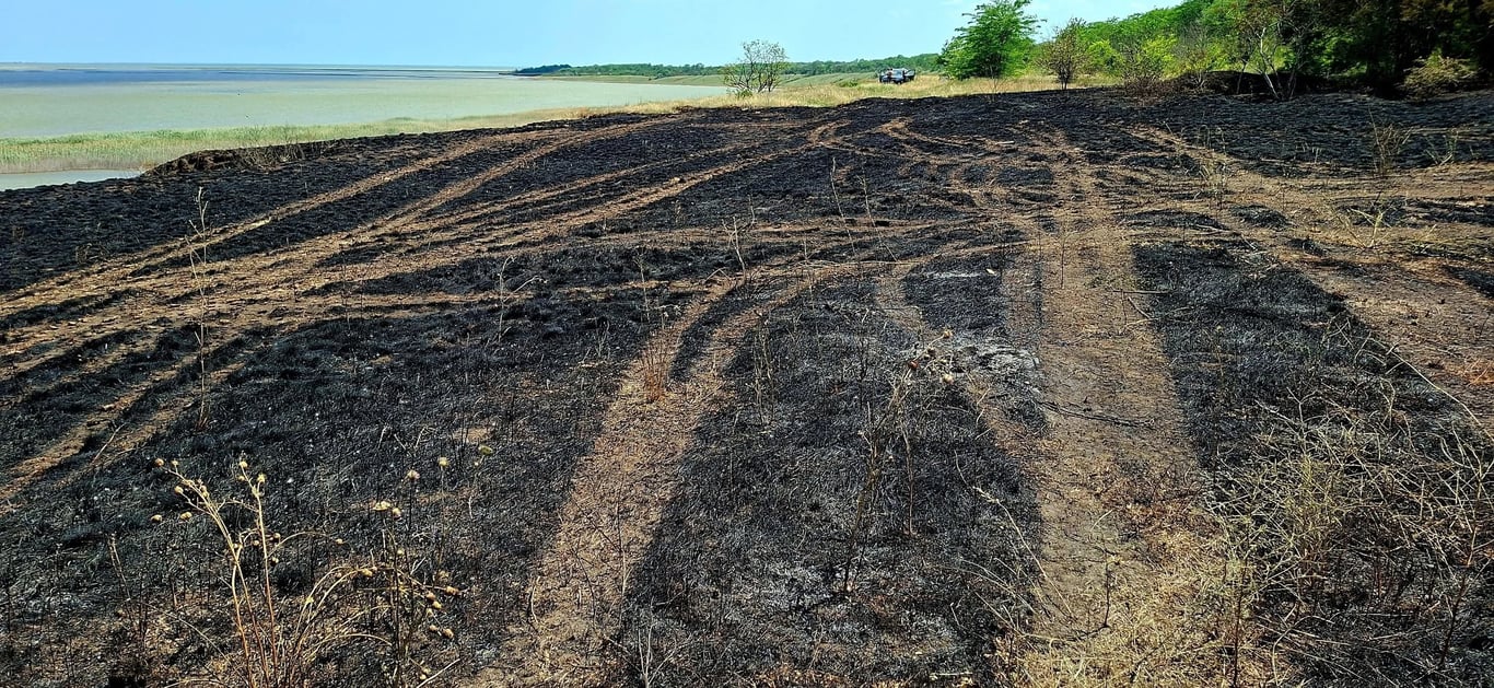 На Одещині пожежа знищила рідкісні степи біля лиману Хаджидер - фото 2