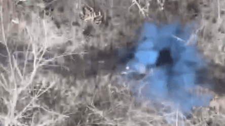 Військові майстерно нищать дронами ворожих піхотинців — у мережі показали відео - 285x160
