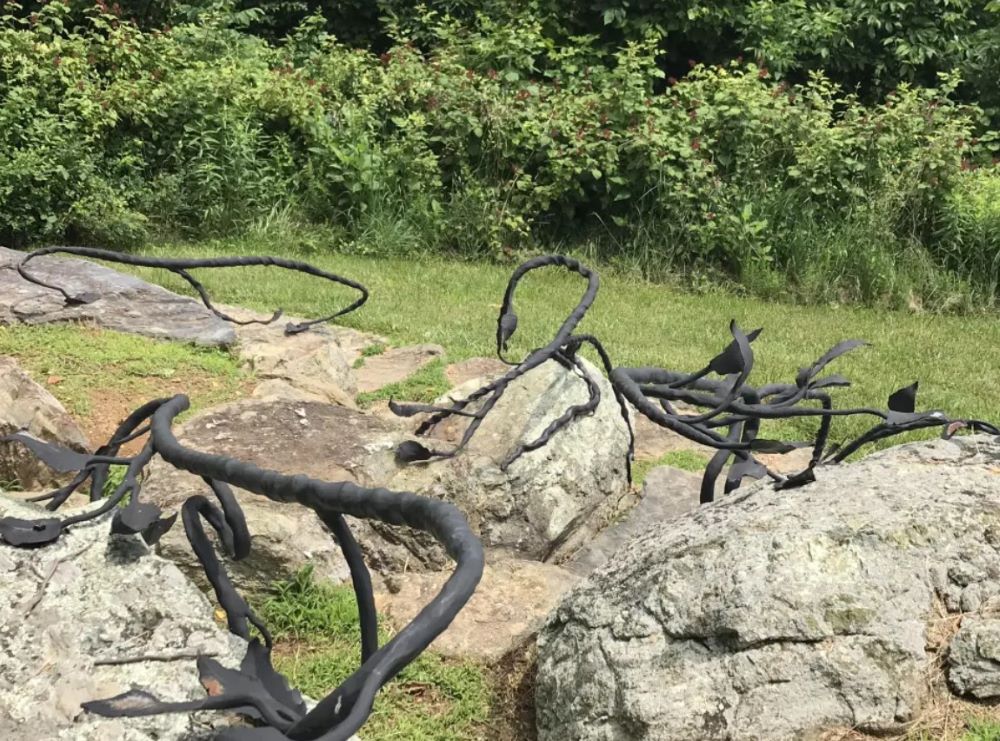 Складне завдання для геніїв — знайдіть змію на скульптурі з виноградною лозою - фото 1