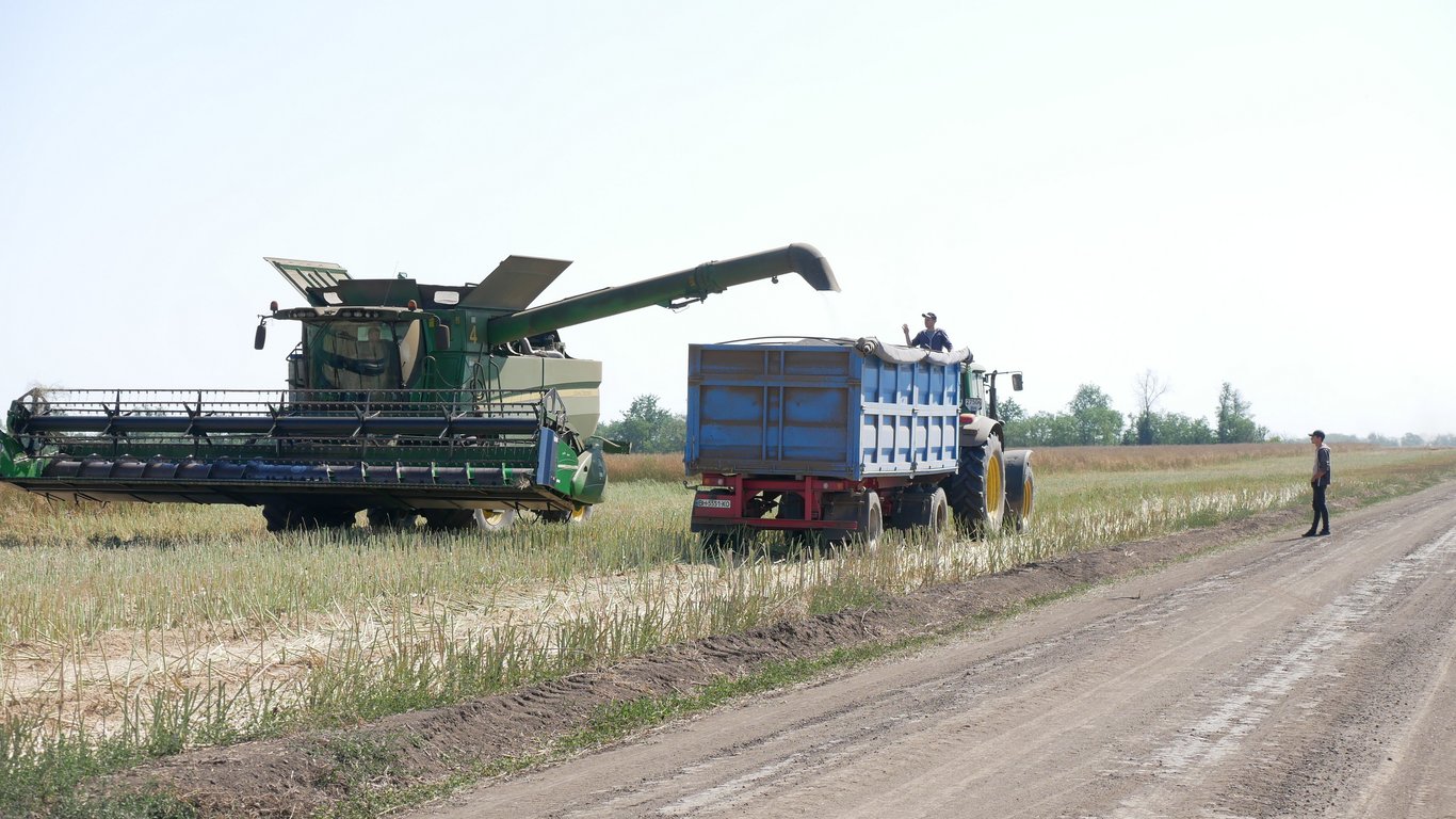 Цены на зерновые в Украине по состоянию на 13 ноября 2024 года