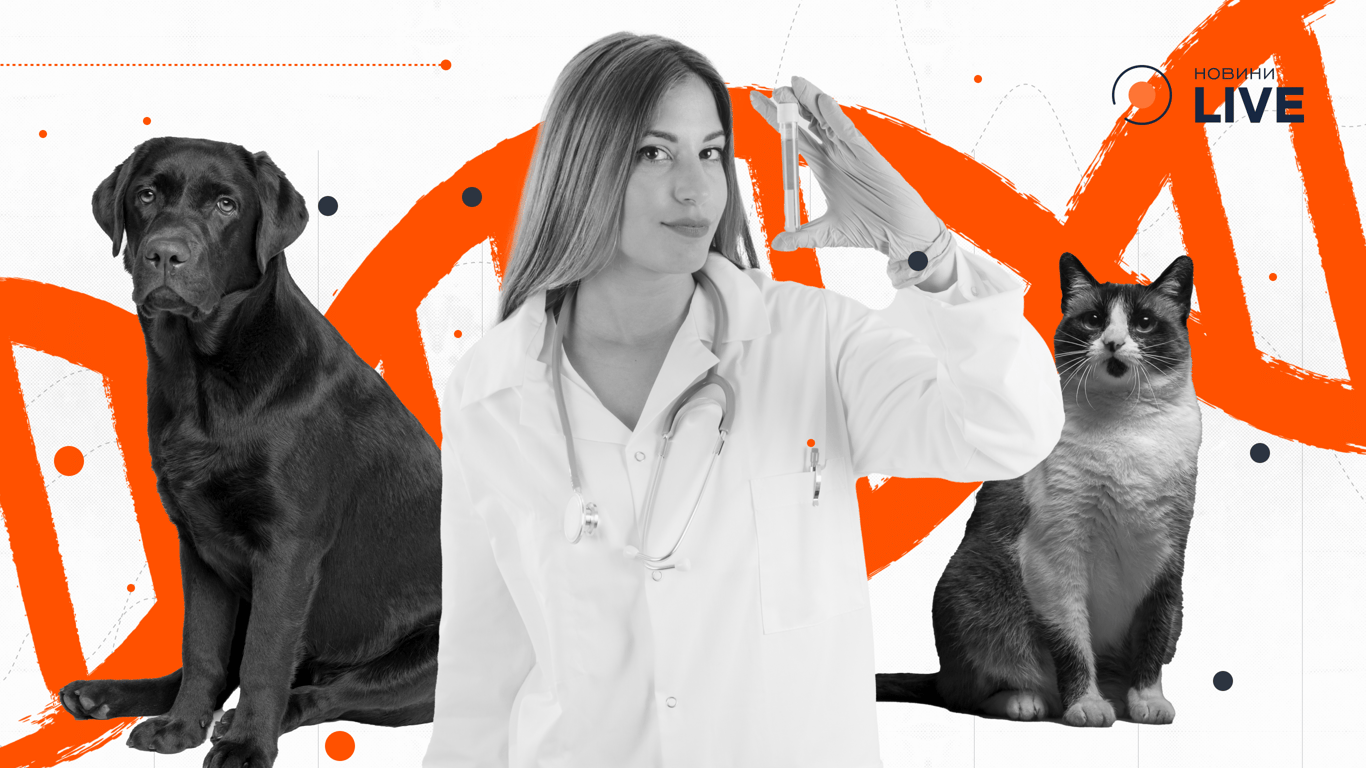 Генетичне тестування тварин в Україні — простими словами