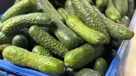 Украинцам продают огурцы на 40% дороже — что стало с ценами в супермаркетах - 290x166