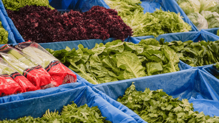 Скільки коштує зелень в Одесі на ринку Черемушки - 290x166