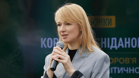 Социальная аренда — Шуляк объяснила, как это работает - 290x166