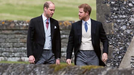 Стосунки між принцами Гаррі та Вільямом висять на "волосинці": в чому справа - 285x160