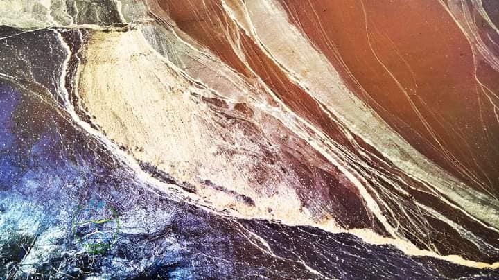 Коричневий відтінок та масляниста плівка — на Тузлівських лиманах вода змінила колір - фото 1