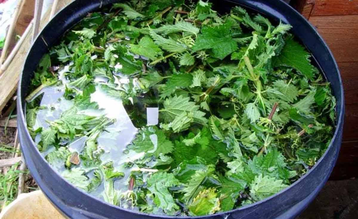 Смесь из крапивы