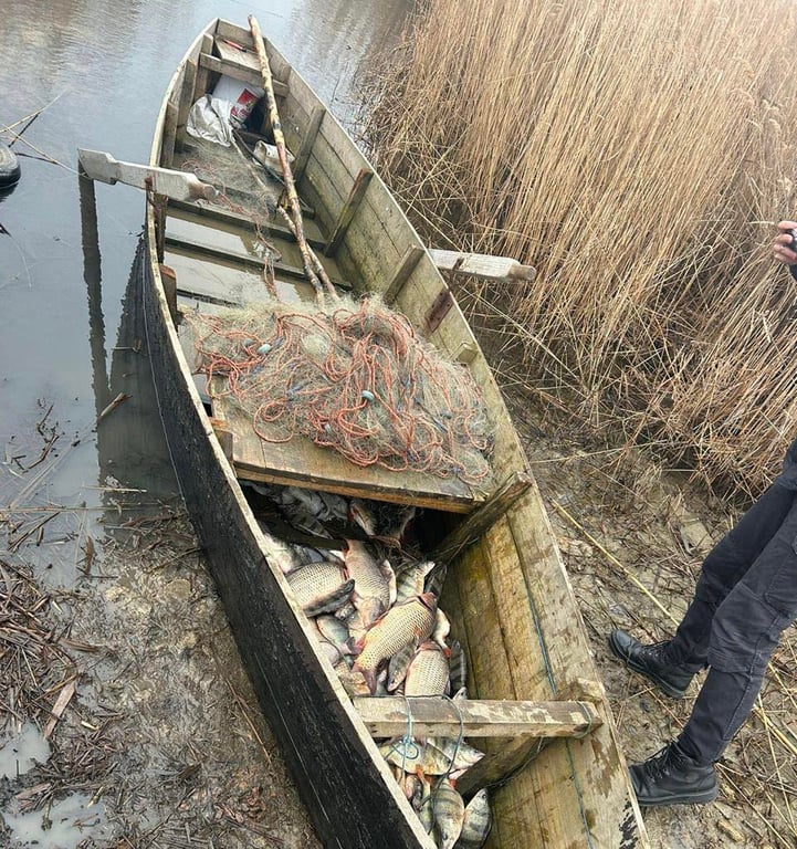 На Одещині браконьєри наловили риби на сотні тисяч гривень - фото 1