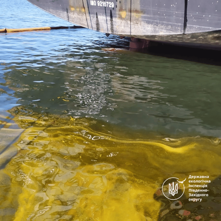 Олія в Сухому лимані на Одещині — підрахували збитки екології - фото 1