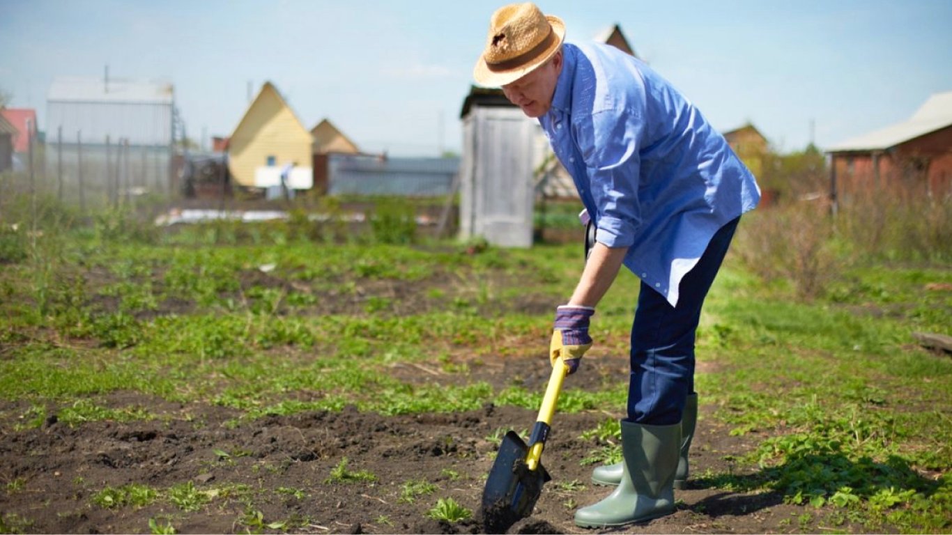 Можно ли работать на огороде в Вербное воскресенье 2024 — говорят агрономы и церковь