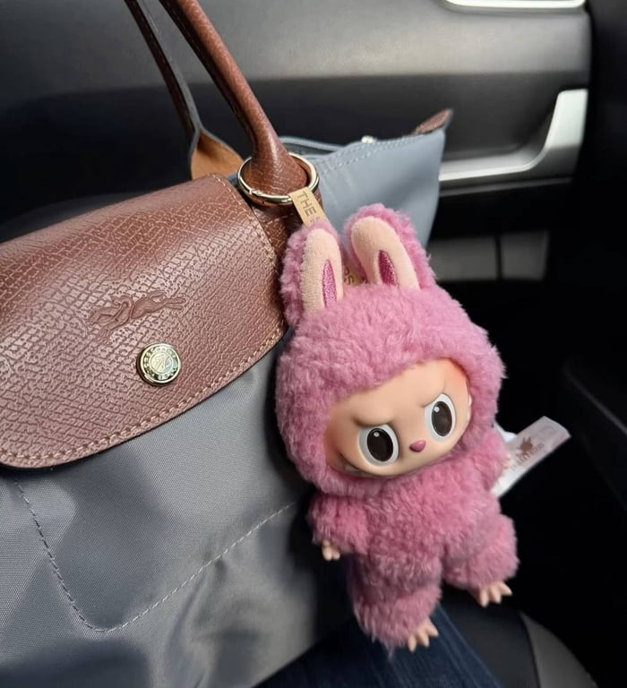 Labubu toys have gained immense popularity