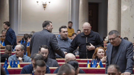 Нардепы заболели норовирусом — что известно - 285x160