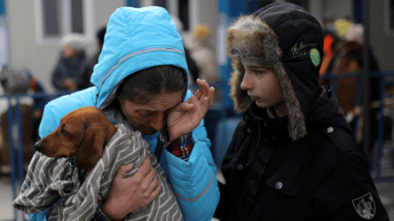 Ірландія скоротить виплати українським біженцям — що відомо - 290x160