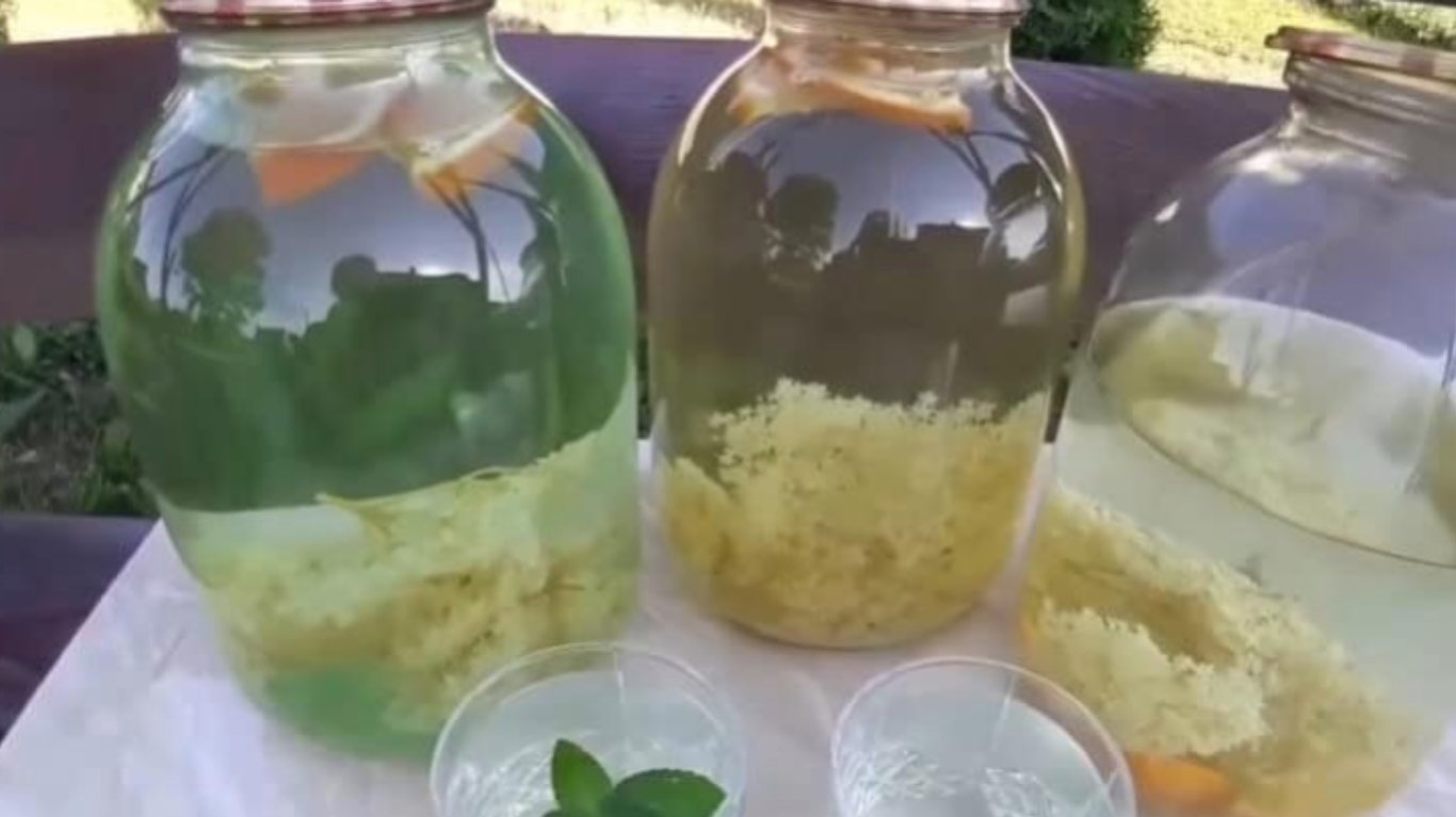 рецепт напою з бузиною